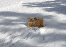 Deep Snow at Icehouse Saddle