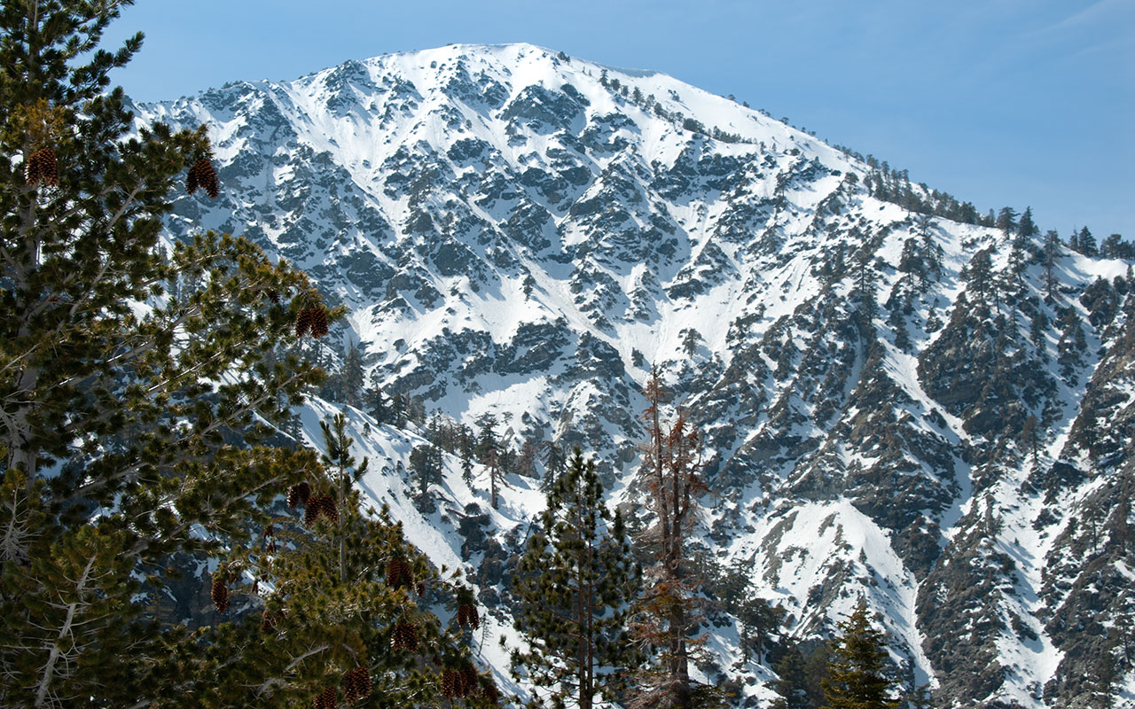 Ski Tracks in Stockton Flats Gully