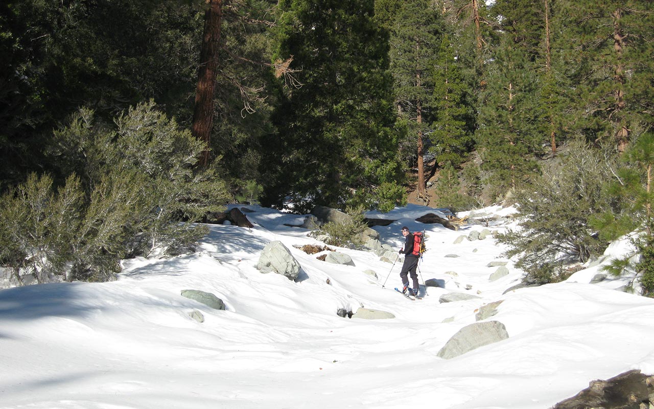 Bushwhacking in Lytle Creek Canyon