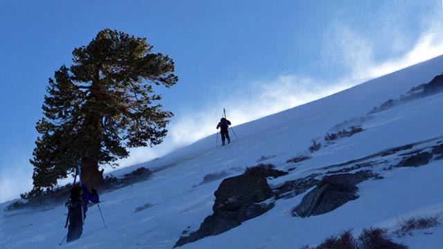 Mount Harwood: North Face and High Wind