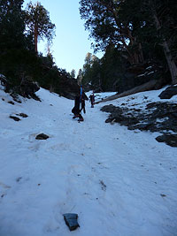 Climbing Harwood's North Chute