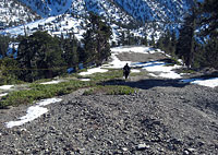 Mount Baldy Ski Area