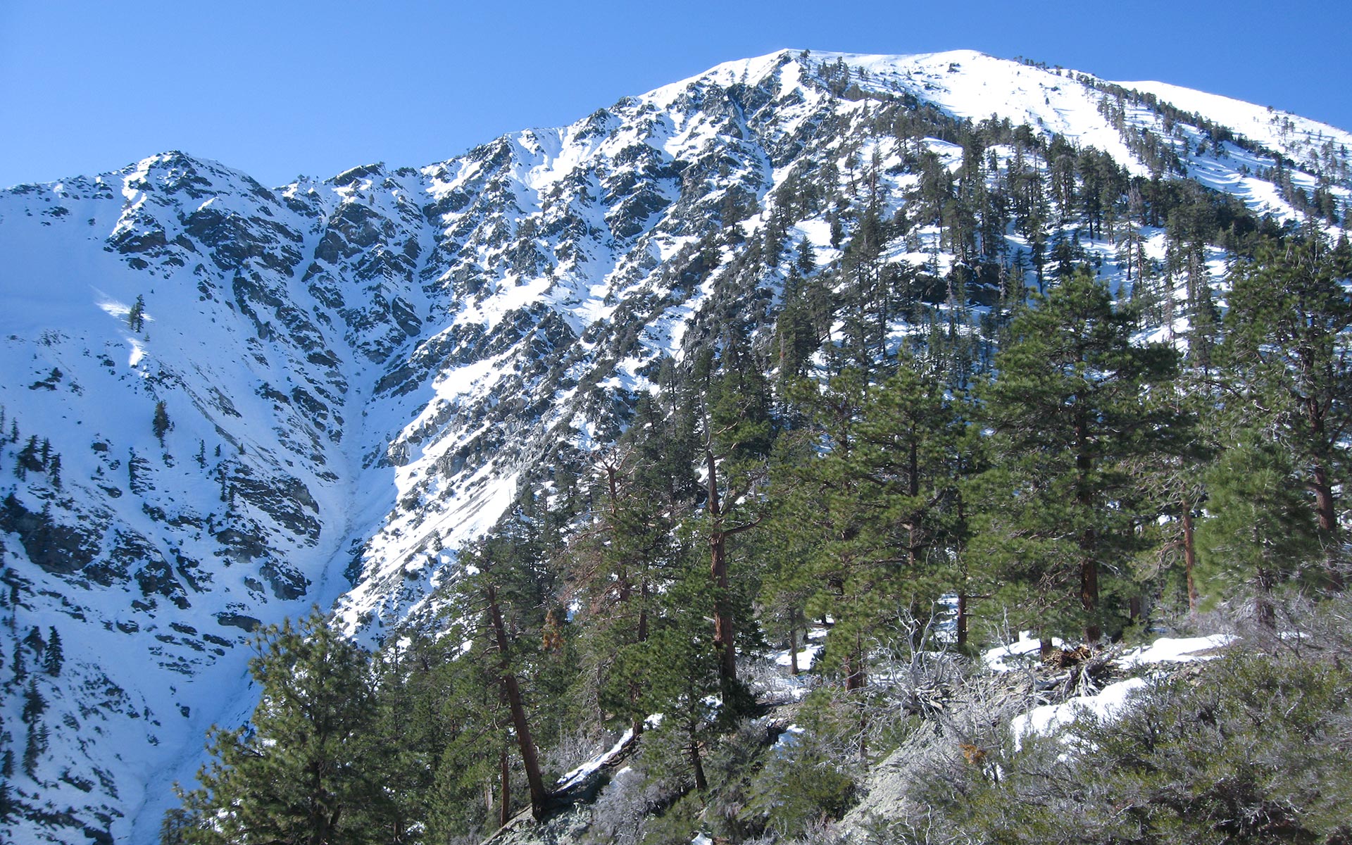 Mount Hardwood: East Face & Northeast Ridge
