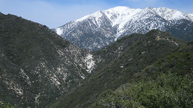 Mount Baldy's West Face