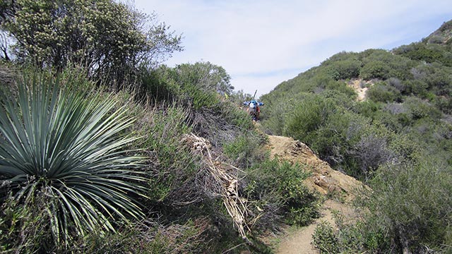 Iron Mountain's South Ridge