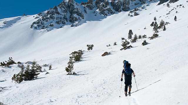 Ascending Baldy Bowl