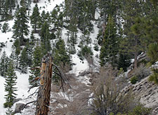 Tuttle Creek Drainage