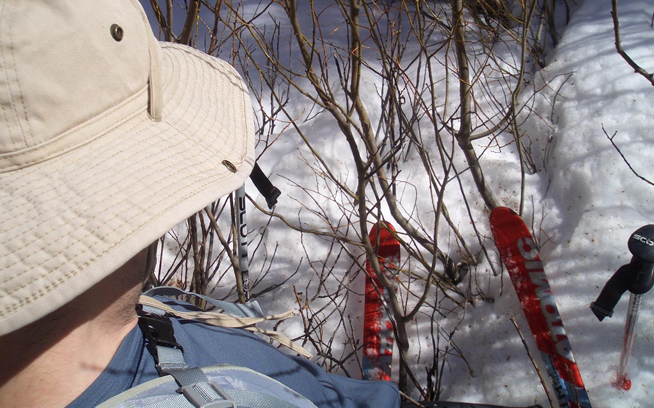 Andy Skiing Through Brush