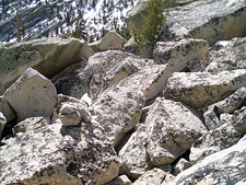 More Talus