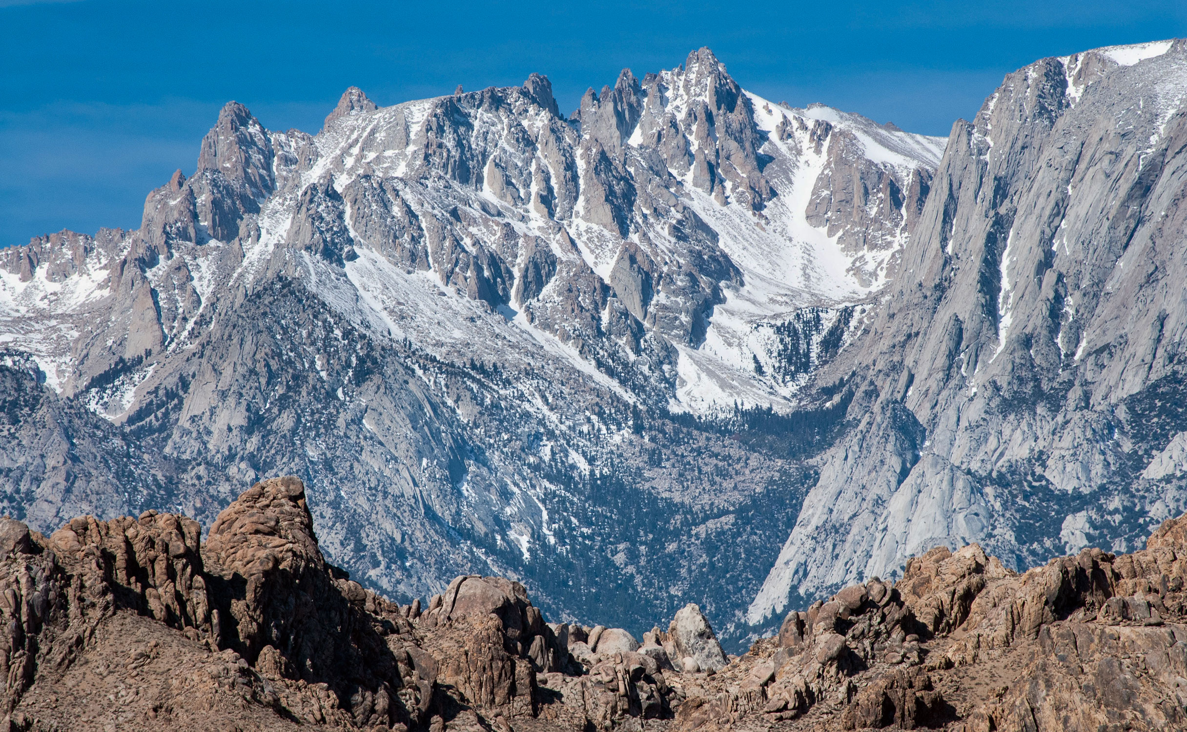 Mount LeConte from Lone Pine