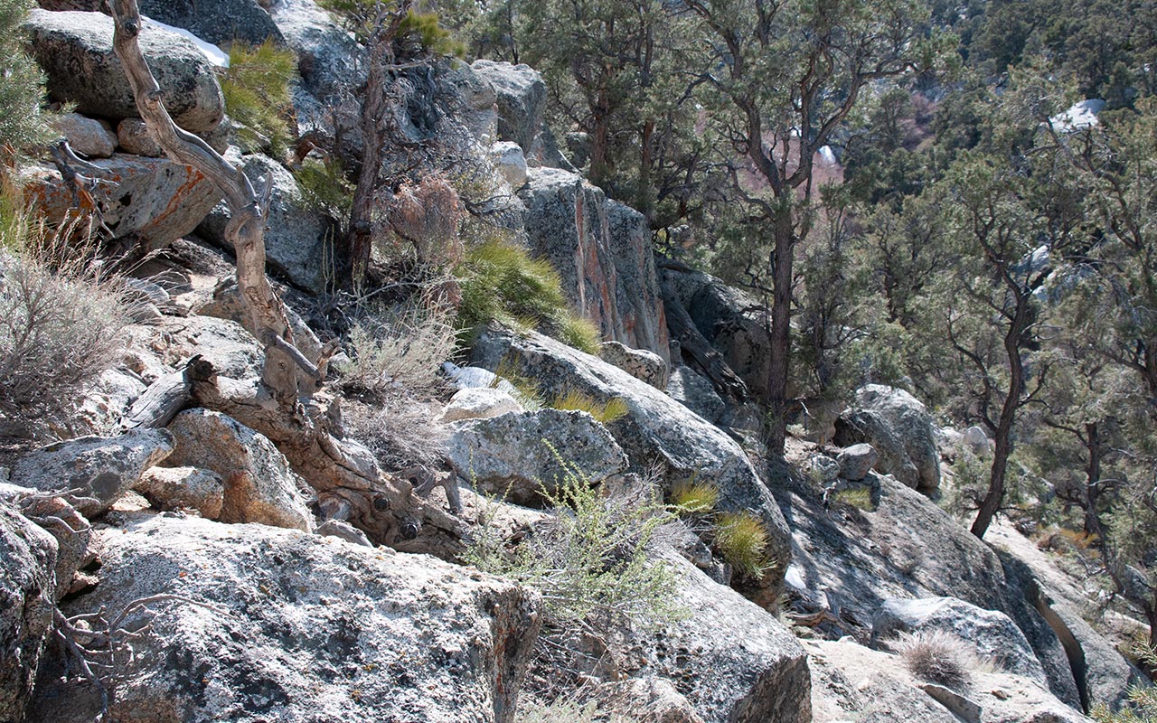 Inyo Creek Canyon