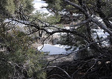 Eastern Sierra: No Trail, As Usual