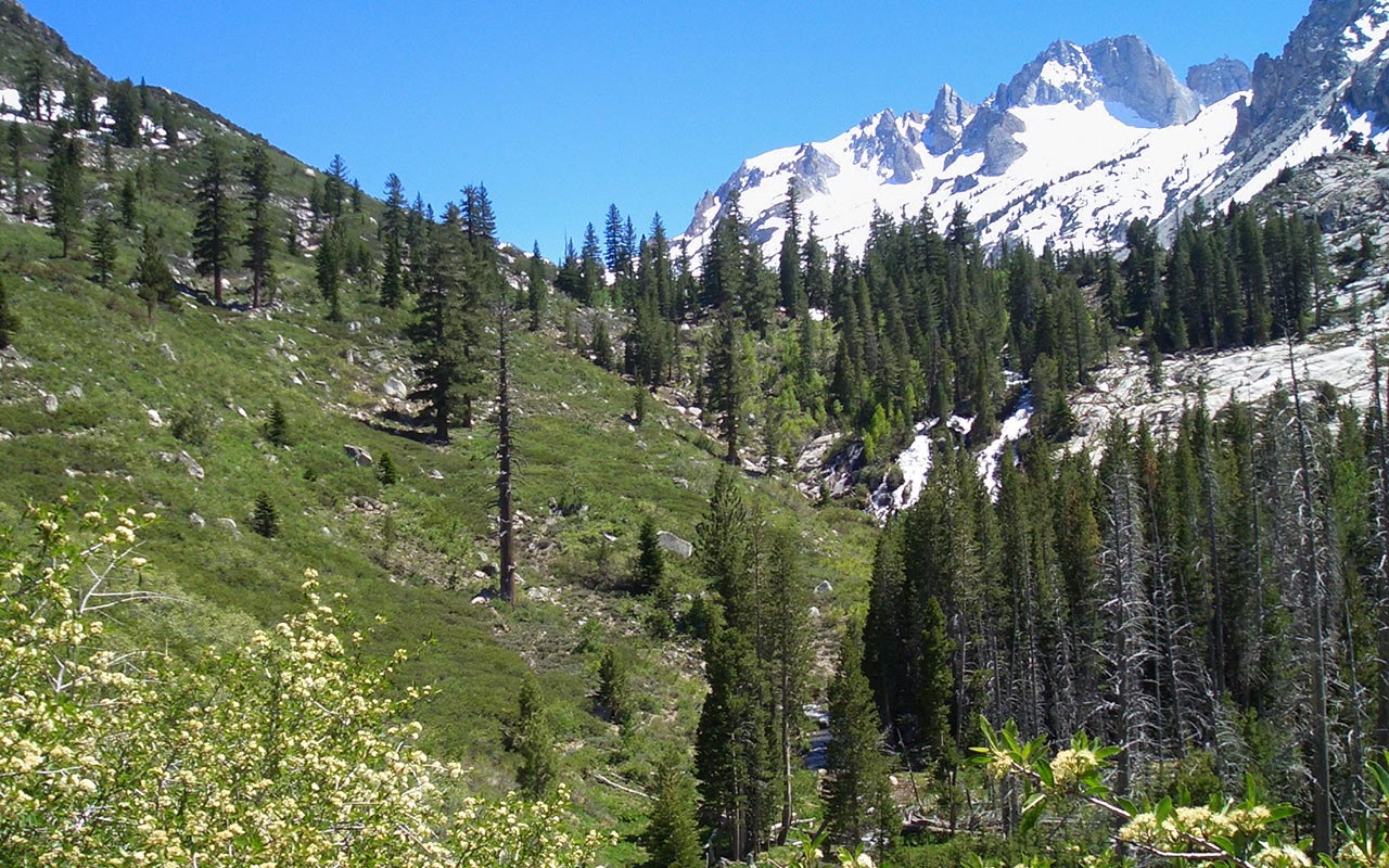 Matterhorn Peak & Meadow