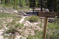 Horse Creek Trail