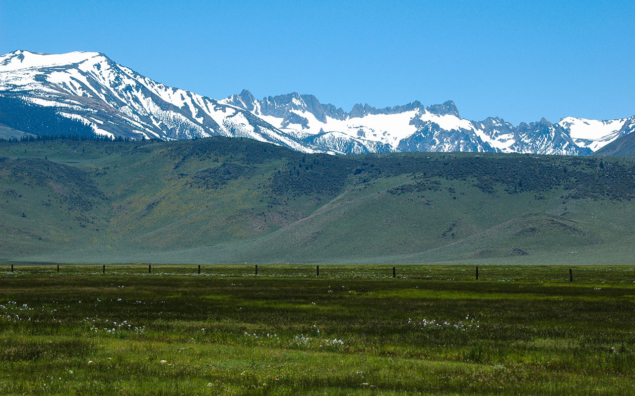 The Sawtooth Range from Bridgeport