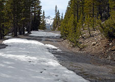 Saddlebag Road & North Peak