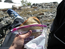 PBJ Sandwich at Camp