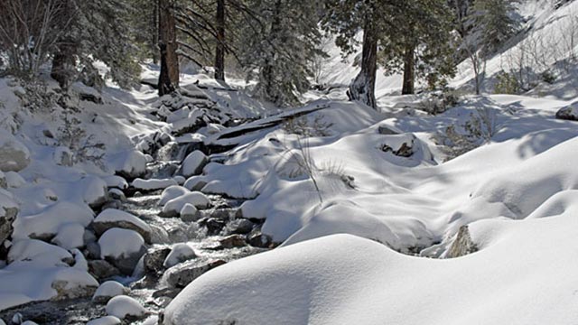 Snowy Ice House Canyon Creek