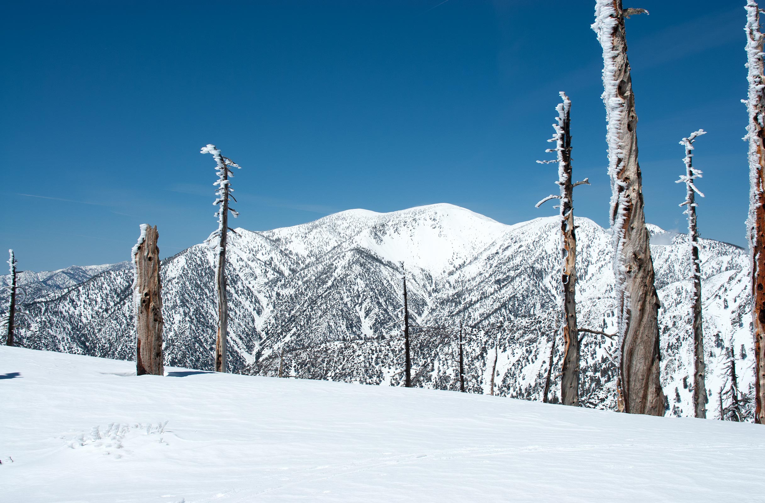 Mount Baldy from atop Bighorn Peak