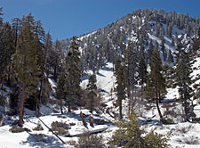 Near Columbine Spring