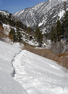 Climbing Snow in Ice House Canyon