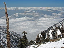 The Los Angeles Basin