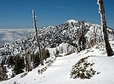 Looking Toward Ontario Peak