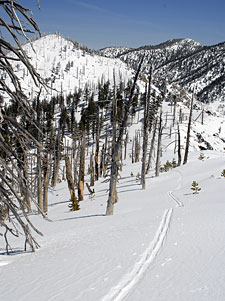 Ski Tracks & Bighorn Peak