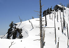 Cucamonga Wilderness - Peak 8400