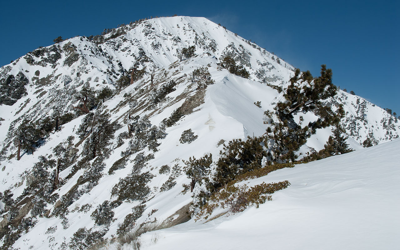 Mount Harwood and the Devil's Backbone