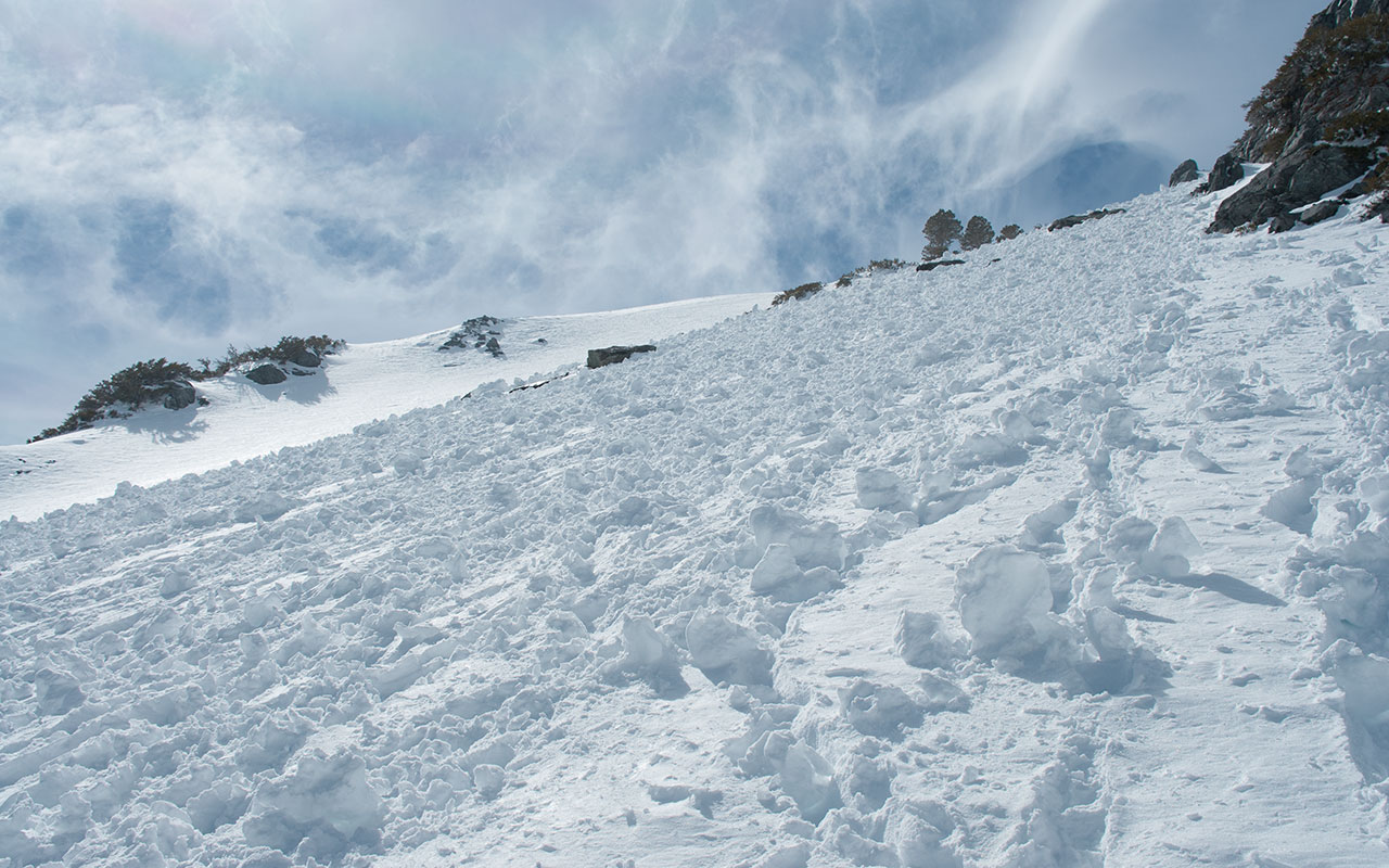 Mount Baldy - Southeast Bowl Avalanche