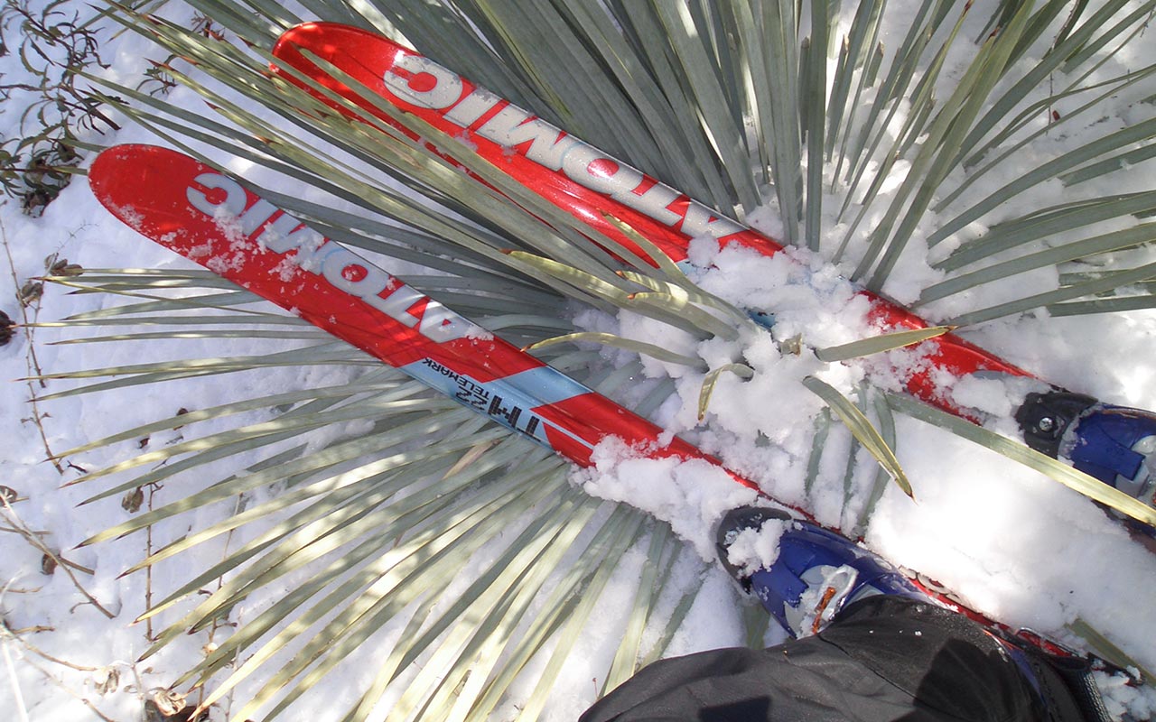 Skis & Yucca Plant in San Antonio Canyon