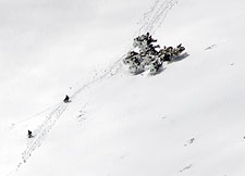 Snowshoes on Mount Baldy's SouthEast Bowl