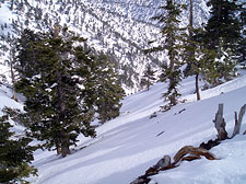 Entering San Antonio Canyon