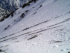 Thinning Snowpack