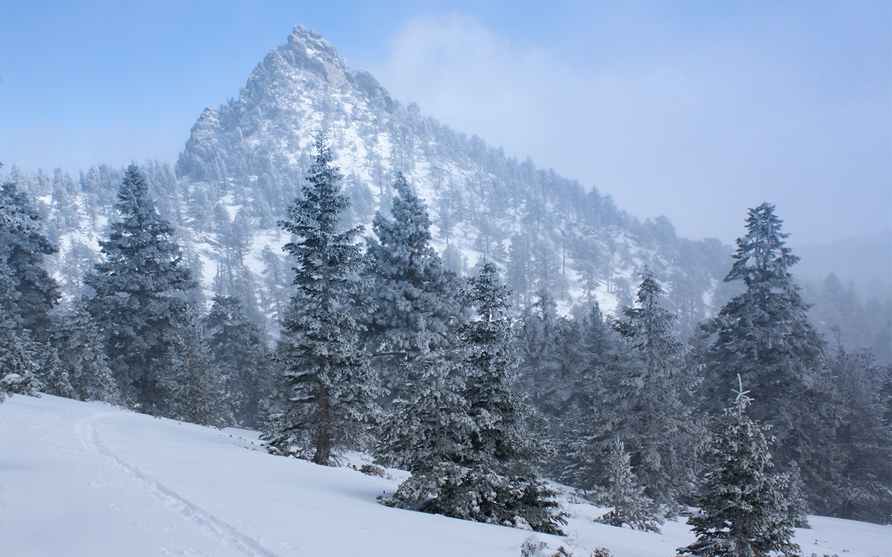 Bill Skiing Up Round Valley