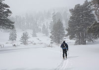 Bill Below San Jacinto Peak