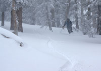 Powder Skiing