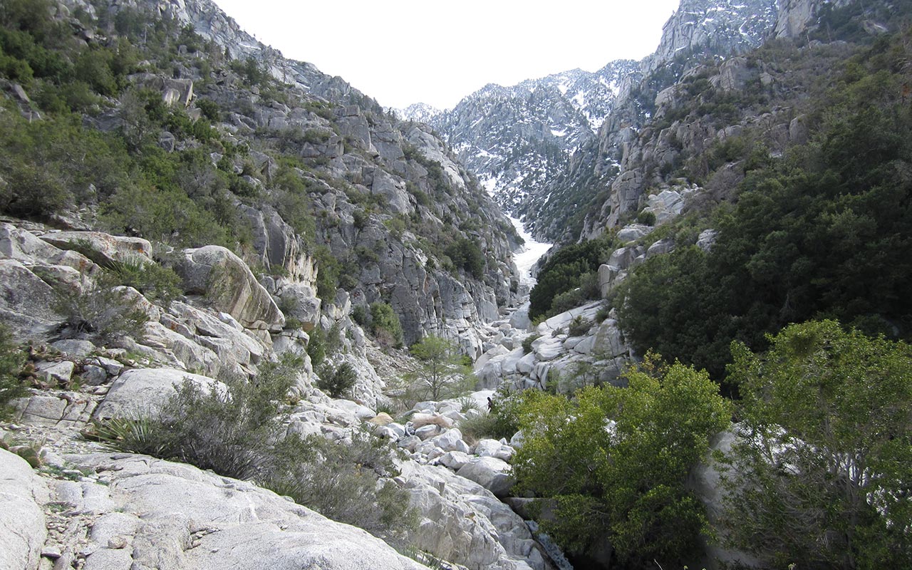 Boulders & Brush: Lower Snow Creek