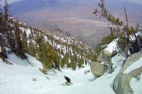 Dave Skiing the North Face