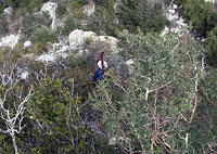 Andy in the bush