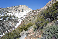 Red Mountain Creek - North Fork