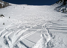 Ski Tracks & Telluride Powder