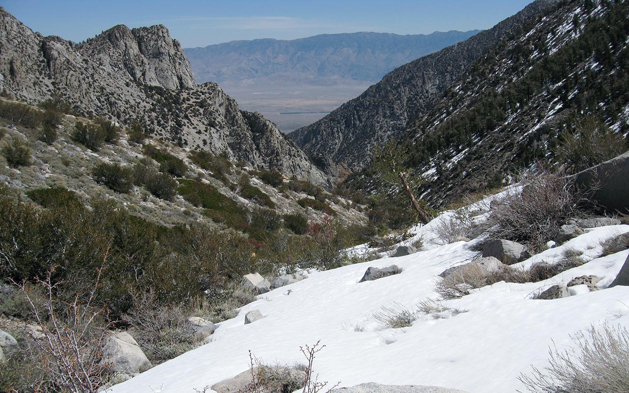 Shepherd Creek Drainage