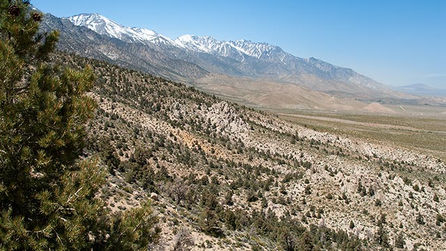 Owens Valley and the Eastern Sierra