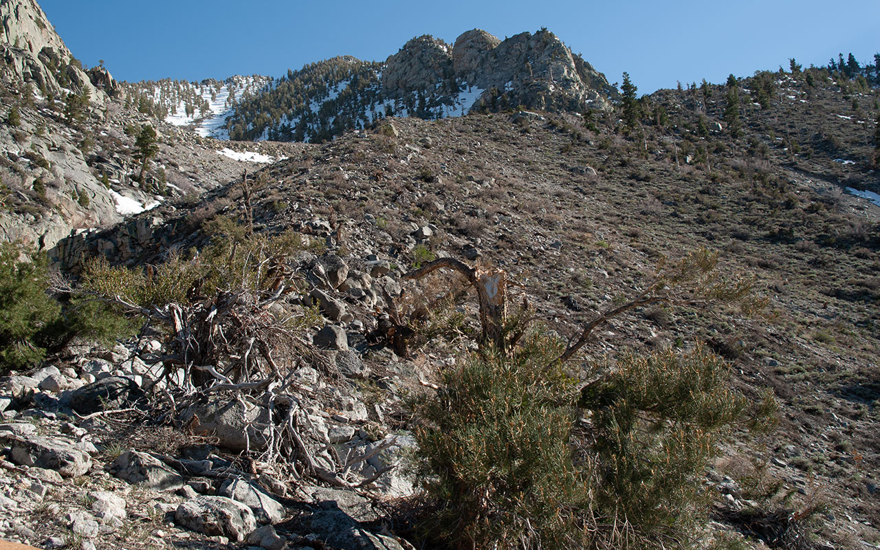 Below the Bairs Creek Cirque