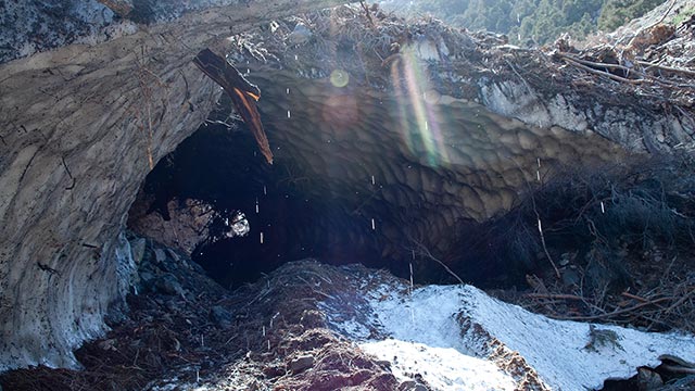 Massive Avalanche Bridge