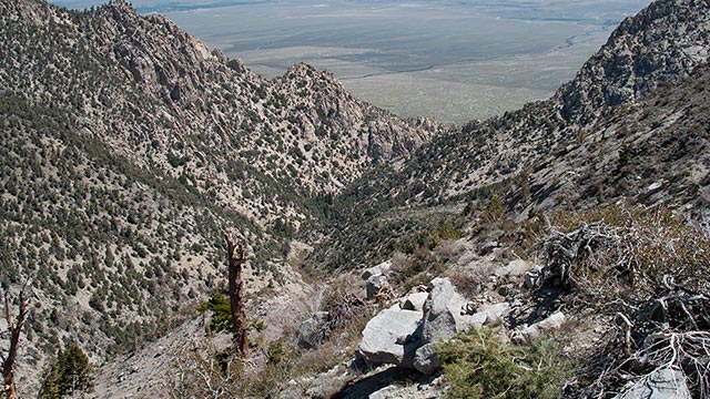 Contemplating the Bairs Creek Drainage