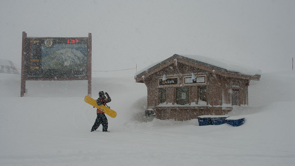 A Mammoth Blizzard