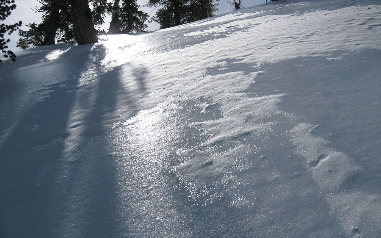 San Gabriel Backcountry Warning